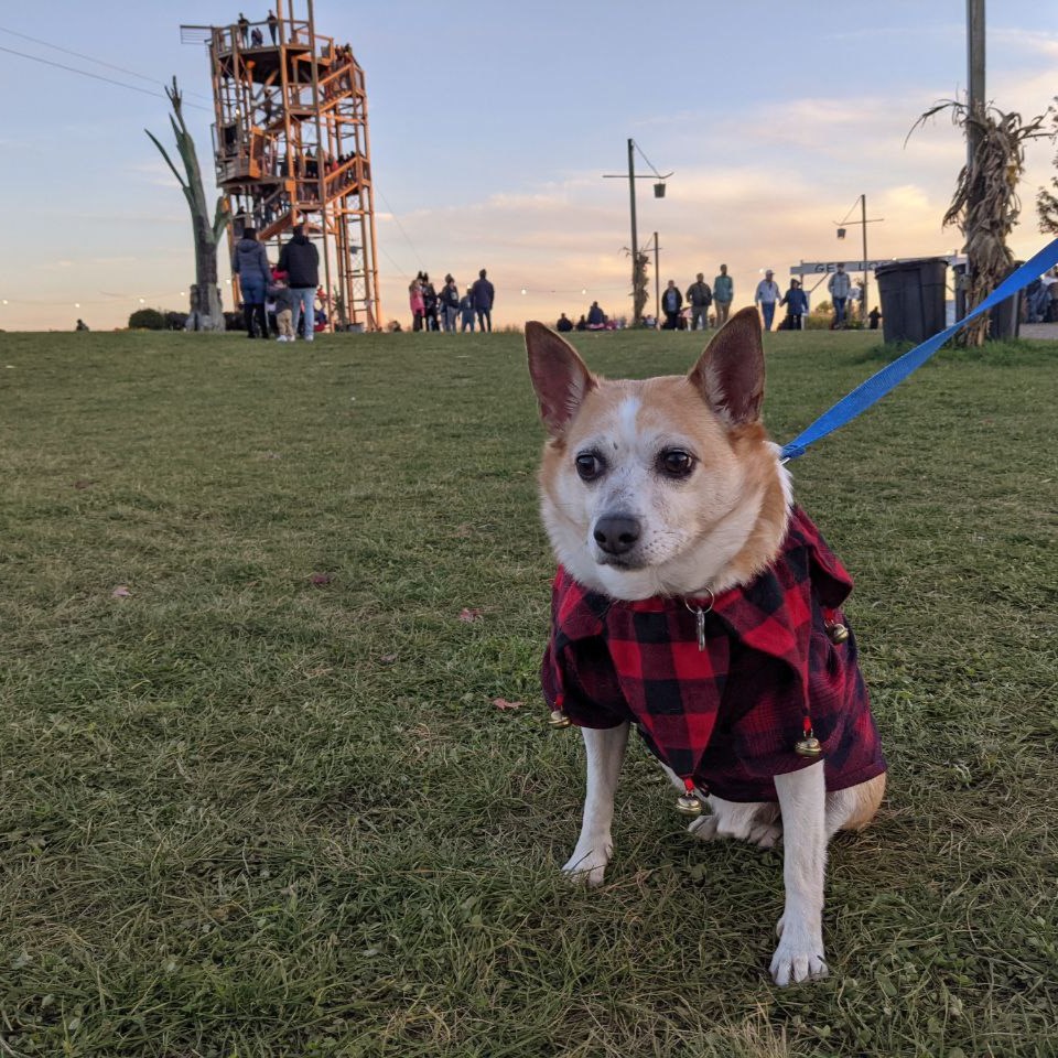 Tobby near a tower